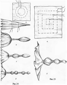 the diagram shows different types of fish