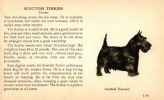 the scottish terrier is depicted in an old book page with some type of text