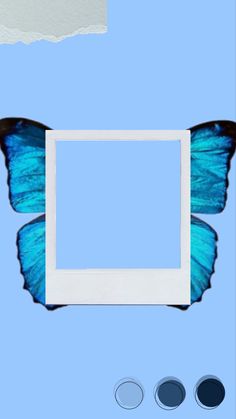 a blue butterfly sitting on top of a white frame with four different colors around it