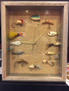 a shadow frame filled with different types of fishing lures on display in a shop