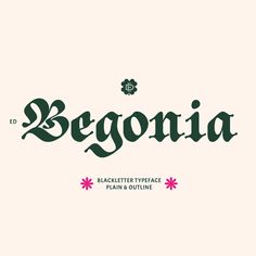 the font and typeface for begonia