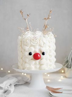 a cake decorated with white frosting and red nose