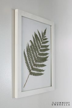 a framed fern leaf is hanging on the wall