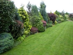 a lush green lawn surrounded by trees and bushes