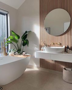 a bathroom with a large plant in the corner and a mirror on the wall above it