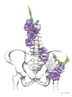 Pelvis and Spine anatomy drawing with peony and gladioli flowers, pointillism and watercolor pencils Pelvis Drawing, Watercolor Anatomy, Spine Art, Skeleton Art Drawing, Spine Drawing, Medical Drawings, Human Anatomy Art, Skeleton Art, Pretty Drawings