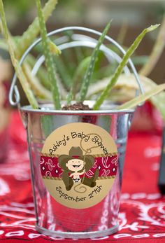 a potted aloei plant sitting on top of a red cloth covered table