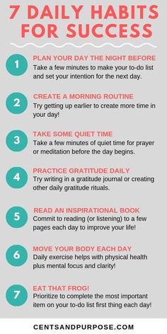 the 7 daily habit for success is shown in this info sheet, which shows how to start