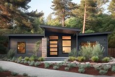 a modern house in the woods surrounded by trees and shrubs, with a walkway leading up to it