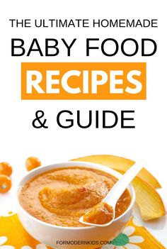 the ultimate homemade baby food recipes and guide