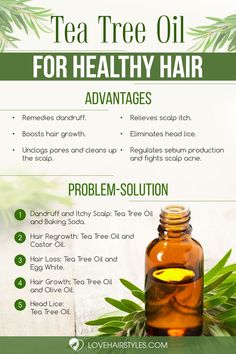 Tea Tree Oil For Hair, Tea Tree Oil Hair, Tea Tree Oil Uses, How To Grow Your Hair Faster, Hair Growing Tips, For Healthy Hair, Oil For Hair, Essential Oils For Hair, Healthy Hair Tips