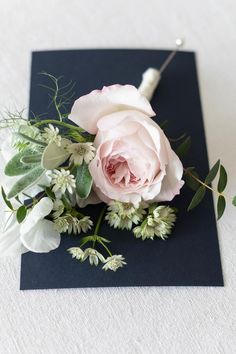 Pink rose button hole White Button Holes, Pink White Bridal Bouquet, Blush Colour Palette, David Austin Wedding, Blush Color Palette, Edible Gold Leaf, Button Holes Wedding, Peach And Cream, Fresh Flower Cake