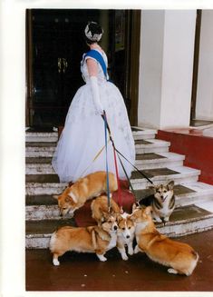 a woman in a white dress is walking her dogs down the stairs with princess costumes on