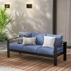 a blue couch sitting on top of a wooden floor next to a potted plant