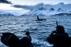 two people on a boat looking at an orca in the water with mountains in the background