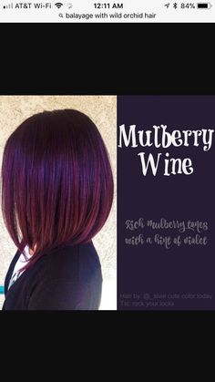 Mulberry Hair Color, Mulberry Hair, Color Uva, Hair Color Idea, Violet Hair, Fantasy Hair, Work Hairstyles