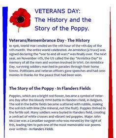 veterans day the history and the story of the poppy