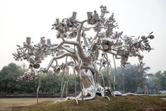 a large tree with lots of shoes hanging from it's branches in a park