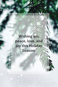 a christmas tree branch with the words, may the peace and joy of christmas live in your heart all year long