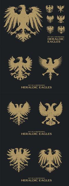 an image of different types of birds in gold and white on a black background with the words