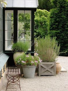 an outdoor area with potted plants and a bench