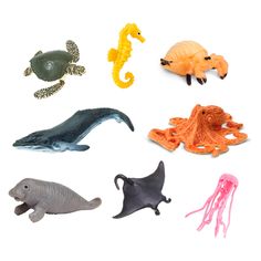 various sea animals are shown in this image