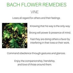 a poster with the words bach flower remedies