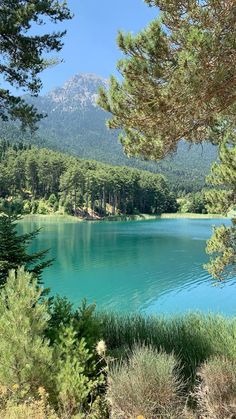 a lake surrounded by pine trees with mountains in the backgroung and blue water