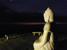 a buddha statue sitting on top of a lush green field next to the ocean at night