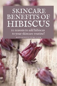 Hibiscus Mask For Face, Rose Oil Diy, Flower Infused Oil, Hibiscus Recipe, Benefits Of Hibiscus, Herb Benefits, Rosy Skin, Beauty Tea, Healing Remedies