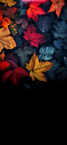 an image of colorful leaves on the ground with a red light in the middle and black background