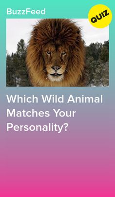 a lion with the words which wild animal matches your personality?