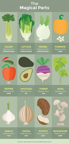 the different types of vegetables are shown in this poster, which is also labeled with their names