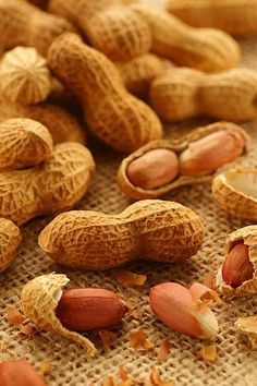 peanuts are scattered on a burlap surface, including one with broken shell and the other whole