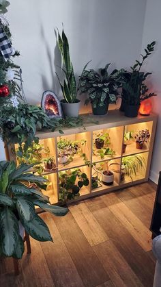 a room filled with lots of potted plants on top of a wooden floor next to a white wall