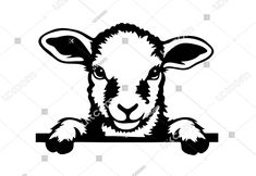 a black and white sheep holding a sign with its paws on it's head