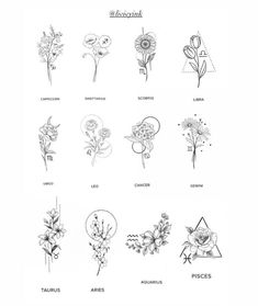 an image of flowers and their meanings