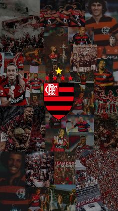 Flamengo Facts About Countries, National Animal, Avatar World, Disney Princess Pictures, Cute Disney Wallpaper, Birthday Party Cake, Music Wallpaper, Stitch Disney