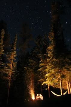 two people sitting around a campfire in the woods at night with stars above them