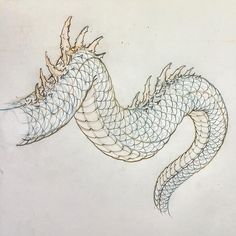 a drawing of a dragon with sharp claws