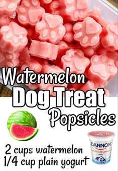 watermelon dog treat popsicles with text overlay