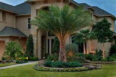 a large house with palm trees in the front yard