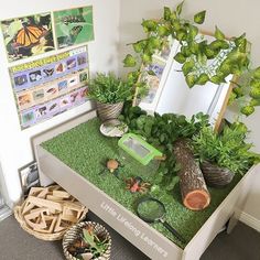 a green table topped with lots of plants next to a mirror and potted plants