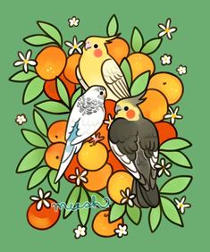 two birds sitting on top of oranges with leaves and flowers in the background,