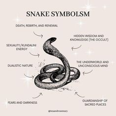 the anatomy of a snake's body and its parts in black and white, with text