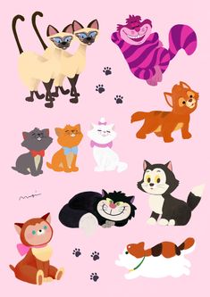 an image of many different cats on a pink background