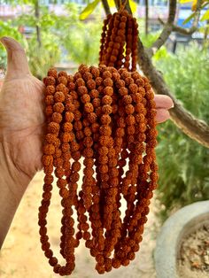 Wholesale Lot 9 Malas- 5 Mukhi RUDRAKSHA Rudraksh Mala ROSARY 108 Prayer Beads 5 faces, Lord Shivas Jaap Mala Yoga Prayer Healing, UNKNOTTED by ArtisanCraftedJewelz on Etsy Rudraksh Mala, Black Onyx Bracelet, Emerald Bracelet, Onyx Bracelet, Spiritual Practices