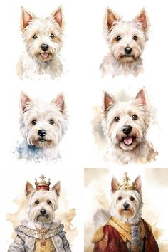 four different pictures of dogs wearing clothes and tiaras, one with a crown on it's head