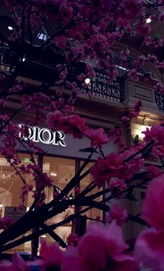 pink flowers in front of a store with the word dior on it's sign