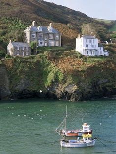 a boat is in the water near some houses on a hill side with seagulls flying around